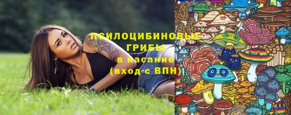 мяу мяу мука Балабаново