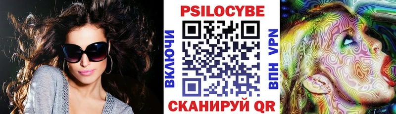 Купить где  Лермонтов  Галлюциногенные грибы MAGIC MUSHROOMS 